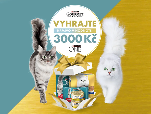 Plná miska na dlouhou dobu. Soutěžte o kočičí krmivo v hodnotě 3 000 Kč.